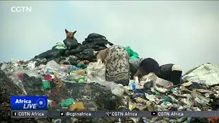 World's toughest law on plastic bags comes into effect