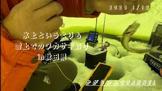 これが秋田のワカサギ釣り