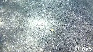 Giardini Naxos - Taormina - Wimius Action Cam subacquea