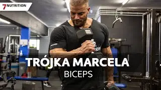 BICEPS - TRÓJKA MARCELA | 7NUTRITION