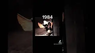 The Evolution of gremlins