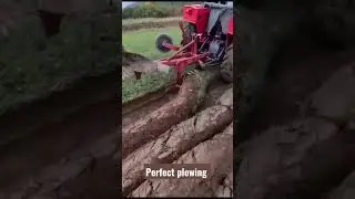 #perfect #plowing #agriculture #tools #tractor #farming #satisfying  #dailyshorts #1702
