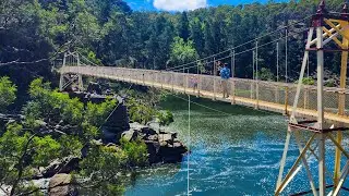 Cataract Gorge Reserve West Launceston | #Tasmania #vlog  #travel #suspensionbridge #australia