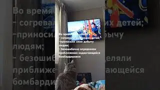 Кошки во время ВОВ #shorts #деньпобеды
