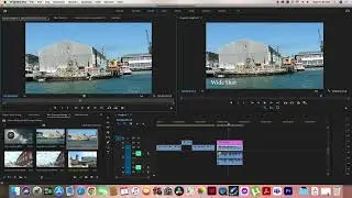 Premiere Pro Basics: Effect controls