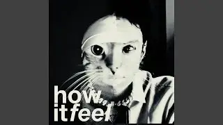 HOWITFEEL