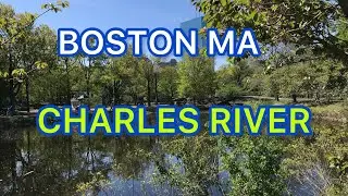 CHARLES RIVER. BOSTON MA  ( PRIMAVERA 2021 ) REGRESANDO A LA NORMALIDAD 👉💙👈