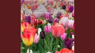 Tulip Garden Daytime Soundscape, Pt. 1