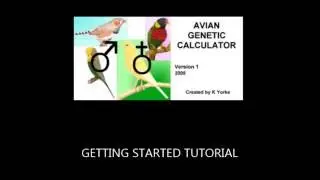 Avian Genetic Calculator - Getting Started