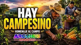 Hay Campecino Cancion Original De Arcoiris Romantico 1