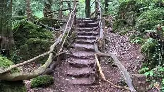 Puzzlewood - The Forest that inspired MIDDLE EARTH