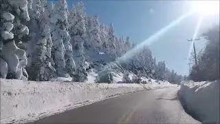 A&gamma;. &Sigma;&tau;&upsilon;&lambda;&iota;&alpha;&nu;&omicron;&sigmaf; &Alpha;&rho;&alpha;&chi;&omega;&beta;&alpha;&sigmaf; - 18/1/2025