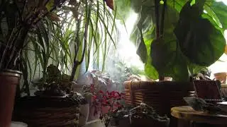 August 2020 NEW MOON| Sound Meditation/ RELAXATION/ MEDITATION/ SLEEP|| BLACK MOON| Willowwacks