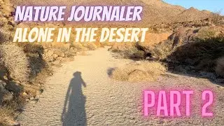 Nature Journaler in the Desert Alone: Part 2