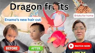 Enamo got a hair cut|| bricks for home|| buy organic dragon fruit || preparation of lunch at resort