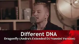 Different DNA - Dragonfly (Andru's Extended DJ Vannini Version)