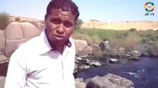 سالوجا وغزال.. معبر الطيور المهاجرة وذاكرة 500 عام من تاريخ النيل