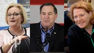 The five most competitive Senate races of 2018
