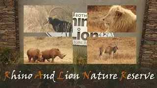 Bothongo Rhino & Lion Nature Reserve Wildlife Video - Animals & Birds | Stories Of The Kruger