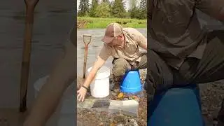 How-to Setup the Foldable 50-inch SLUICE BOX! #goldpanning #howto #prospecting #tutorial #sluicebox
