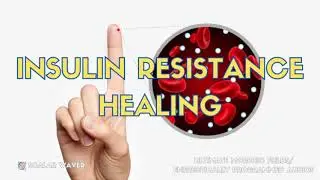 Insulin Resistance Healing PREMIUM SUPERCHARGED ULTRA POWERFUL!!! (Energetically Programmed)