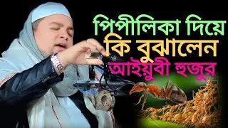 আল্লামা খালেদ সাইফুল্লাহ আইয়ুবী/ Allama Khalid Saifullah ayubi/2025/ Niu waj,,,,,