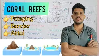Coral reefs / types- Fringing, Barrier, Atoll/  Economic & environmental importance #zoology  #dsssb