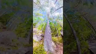 Tivedens Nationalpark 