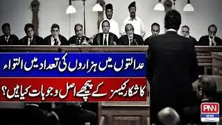Reasons Behind Pending Cases  In The Courts | PNN Digital