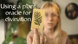 How to use plant oracle decks for divination | Intuitive and knowledge based reading