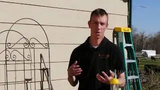 Bird Feeder Cleaning | From the Ground Up
