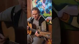 Galway Girl by Steve Earle Guitar Cover Short #steveearle #galwaygirl #12stringguitar #music #shorts