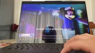 Watching funny video cats/dogs