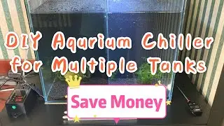 Save hundreds of bucks on DIY Aquarium Chiller免用多台冷水機，省錢DIY