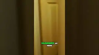 Forehead Challenge: Catch $100 with Your Head!