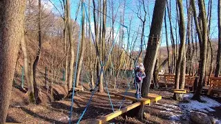 Floodplain forest, ZOO Kosice, Slovakia