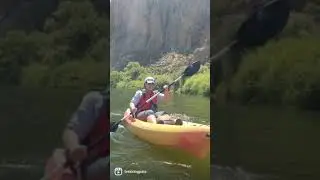 Best Places to see in Arizona                    Salt River Kayaking #shorts