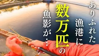 湧く！堤防の底力を見た！