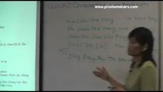 Shiao Ting Jing on Chai Hu Formulas (Pt 2 of 3) - Acupuncture CEUs Online - ProD Seminars