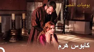 قضية حبيب هرم القديم | يوميات القصر
