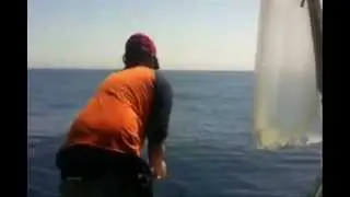 Jigging Master 200g 52b Power Spell vs 53lb Amberjack different angle.