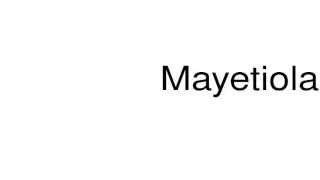 How to pronounce Mayetiola
