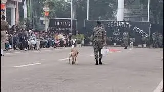 सुचेतगढ़, जम्मू बार्डर पर BSF की 165 बटालियन के जवान प्रशिक्षित कुत्तों के साथ हैरतअंगेज करतब करते 