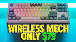NEW Budget Board That Sounds AMAZING? (Tecware Phantom+ Elite)