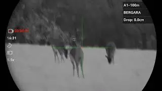 Dančie - hikmicro alpex 4k LRF , bez pr&iacute;svitu 
