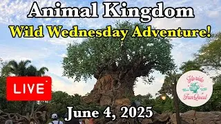 🔴LIVE! From Animal Kingdom in Walt Disney World!  6-4-25