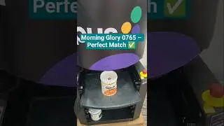 Asian Paints Morning Glory 0765 Shade Perfectly Matched | Birla Opus Colour Smart #yt  @birlaopus