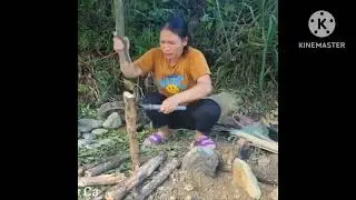 Happy when dad loves mom, Harvest fruit for sale, Build a new kitchen in time for Tet 2024 Cooking