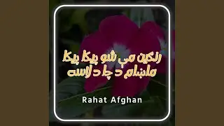 رنګين مې شو پيکا پيکا ماښام د چا د لاسه