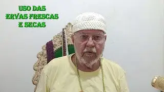 Uso das folhas secas ou frescas